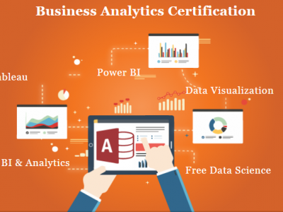 Business Analytics Certification Course in Delhi